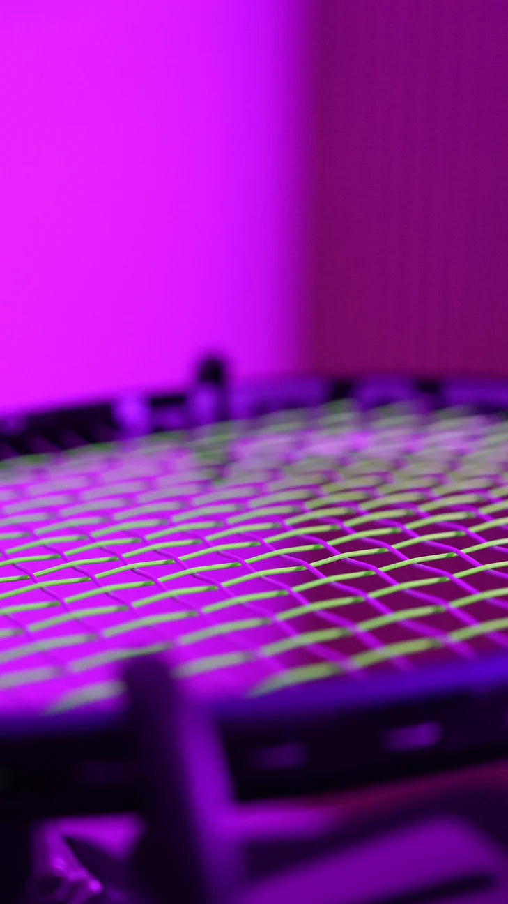 Chef’s choice - O-TORO X SNAPPER